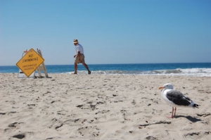 beach2
