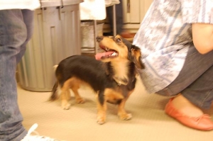 kotaro