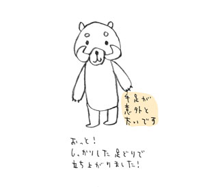 レッサーパンダ3