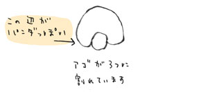 レッサーパンダ1