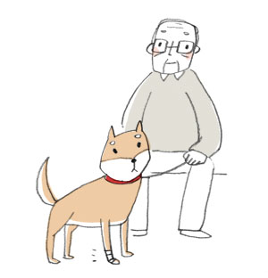 柴犬