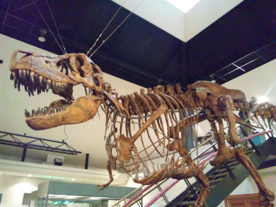 恐竜王降臨！！サイドショー・ダイナソーリアシリーズに