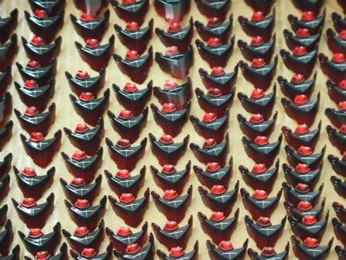 P1060476.jpg