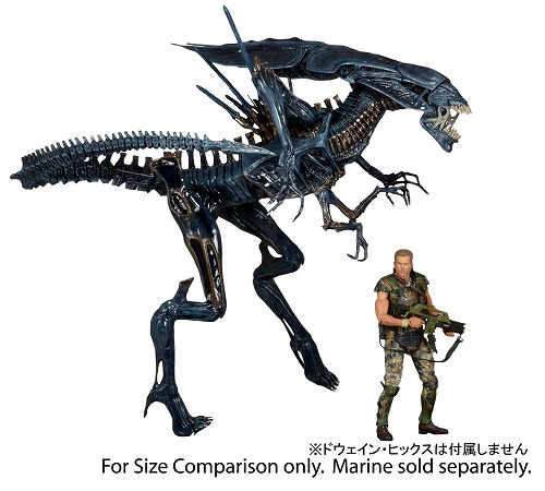 ネカ　エイリアン　クイーンフェイスハガー 228 NECA QUEEN FACE HUGGER | A V P V T V R