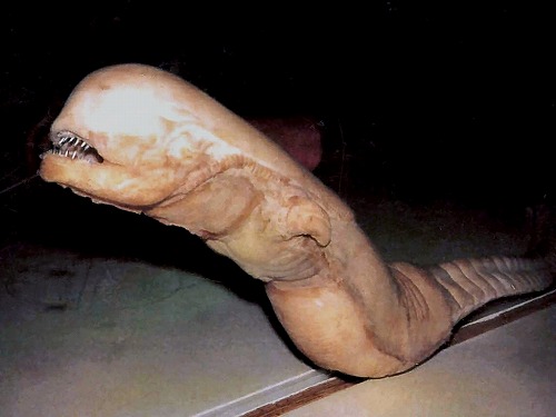 chestbursterprop.jpg