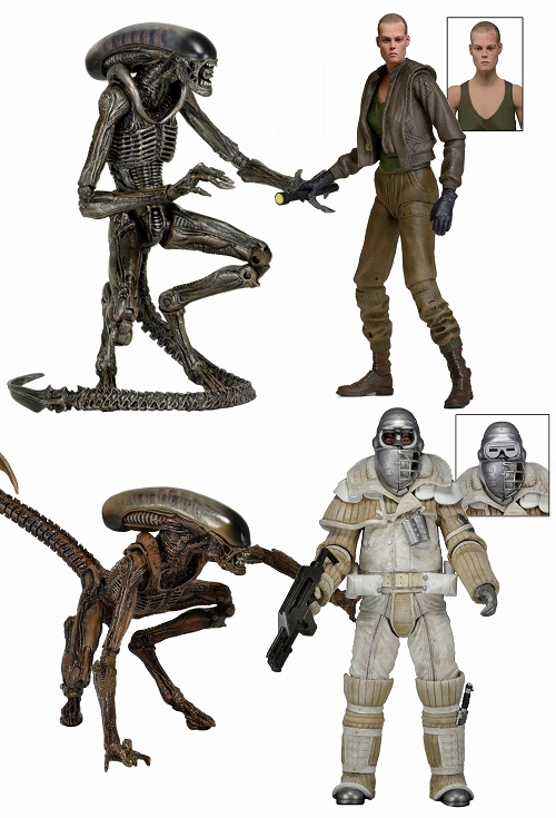 NECA エイリアン　シリーズ1ケナートリビュート　3Dポップアップベース NECA スコーピオンエイリアン レビュー : おもちゃの巣（玩具