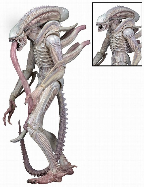 ネカ　エイリアン　バスケス レビュー:NECA(ネカ) ジェニット・バスケス(エイリアン シリーズ