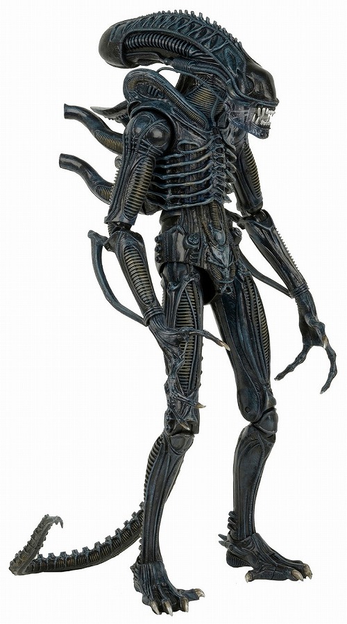 Amazon.co.jp: NECAエイリアン7