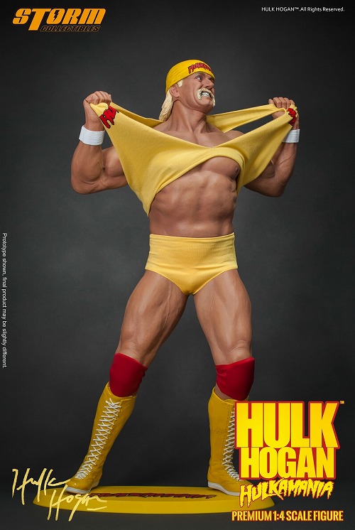 WCW ハルクホーガンコレクティブルフィギュア WCW コレクティブル レスラーズ ハルク・ホーガン PVC