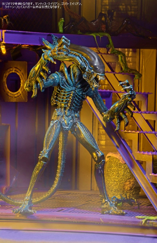 キングエイリアン ヒックス ケナー フィギュア NECA ネカ 新品 fS7O Amazon.co.jp: エイリアン 1/18 アクションフィギュア ケイン in