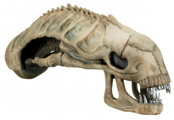 楽天市場】エイリアンスカル レプリカ AVP 手作業高品質品 50cm