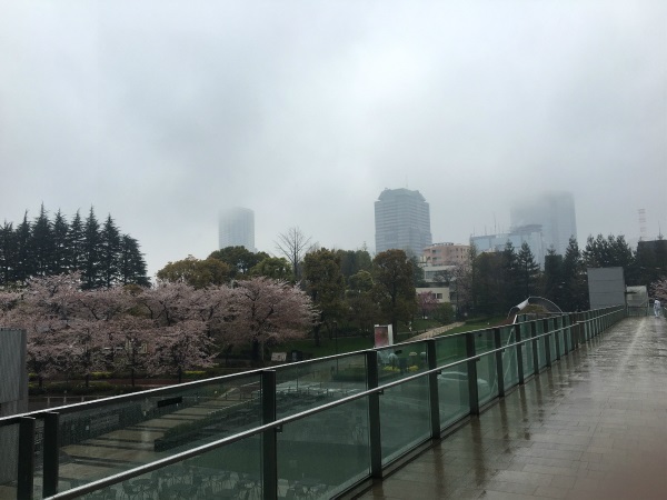 image13.jpg