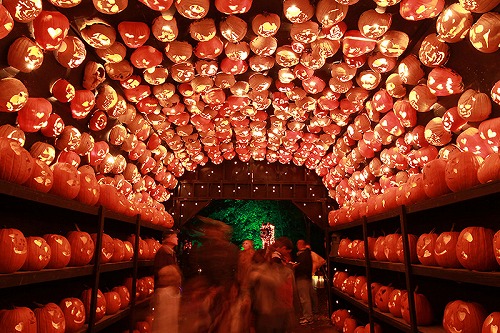 pumpkin-tunnel.jpg