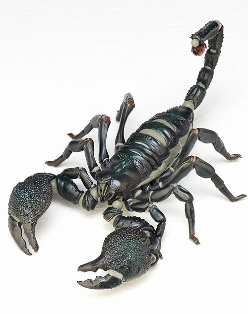 サソリの置物 RG001 リボジオ ダイオウサソリ｜リボジオ｜海洋堂