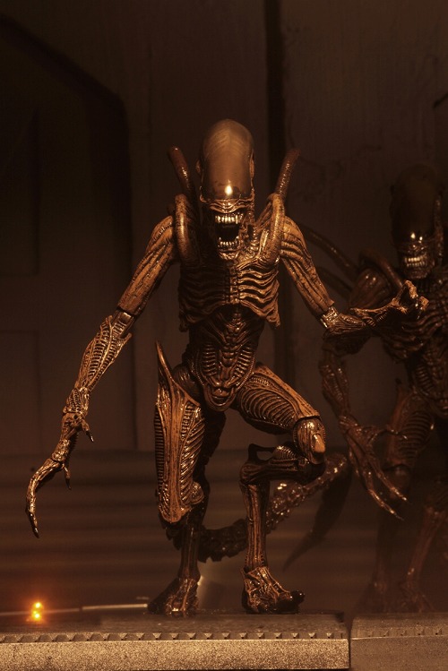 NECA エイリアン4 ウォーリアー　リザレクション レビュー:NECA(ネカ) リザレクション エイリアン ウォーリアー