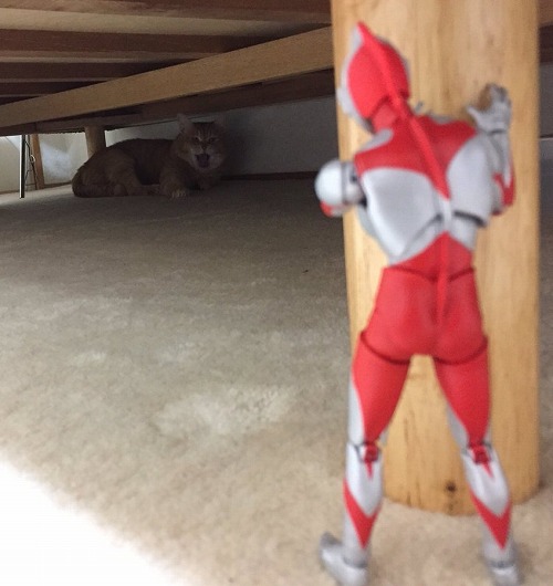 YUUGI.jpg