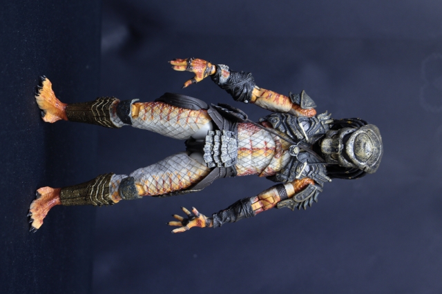 ボアプレデター、ストーカープレデター(3日間限定) ASTRO