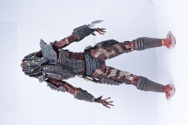 RE:view ゴートじゃないの？！異例の経歴？！ガーディアンプレデター