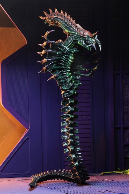 RE:view 二年越しの発見！傷だらけの狩人、シティーハンター