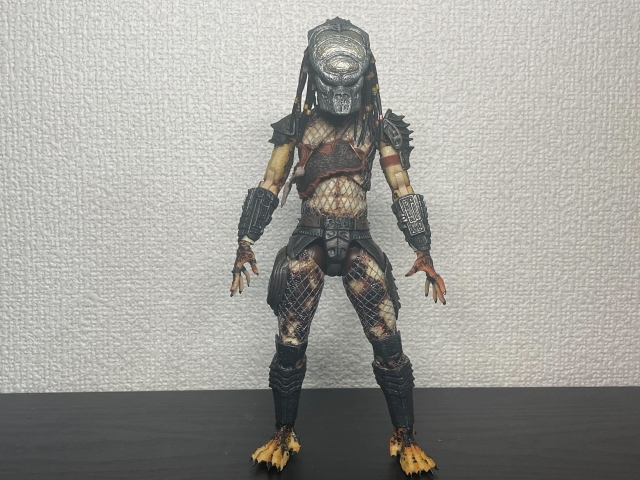 RE:view ボアブラザーズ長兄 ボア・プレデター特集 | 豆blog