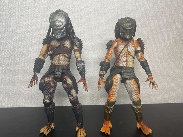 RE:view ボアブラザーズ長兄 ボア・プレデター特集 | 豆blog / 豆