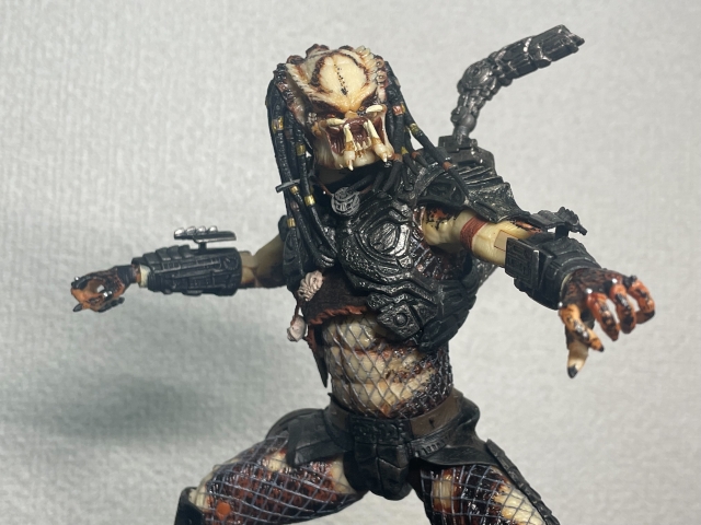 RE:view ボアブラザーズ長兄 ボア・プレデター特集 | 豆blog / 豆