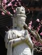 菩薩
