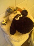 20060527_182207.jpg