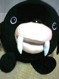 20060528_183078.jpg
