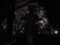20061006_250518.jpg