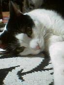 20070111_296501.jpg