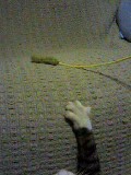 20070127_302852.jpg