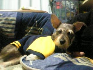 20070525_356029.jpg