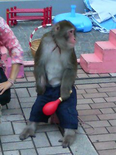 20070805181324.jpg