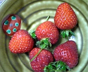 080225_071045.jpg