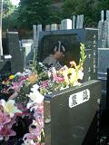080624_1538~0001.jpg