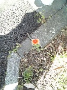 090415_085201_ed.jpg