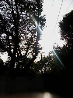 20090418163257.jpg