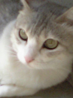 050809_143338_M.jpg