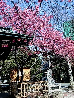 20090206125335.jpg