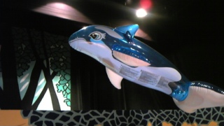 DVC00361.jpg