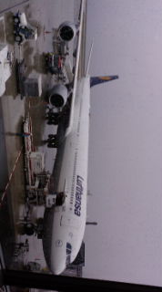 20090414094850.jpg