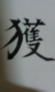 20100112201035.jpg