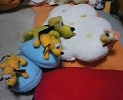 DVC00373.jpg