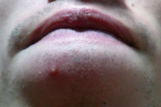 20110224155308.jpg