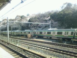 20110409_144910.jpg
