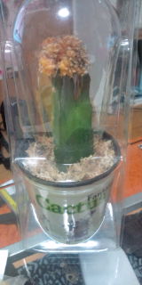 20110411005724.jpg