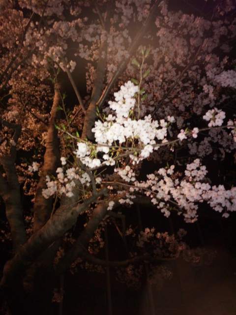 110409_002325.jpg