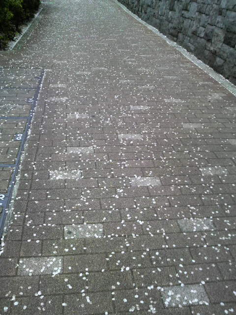 2011041113000000.jpg