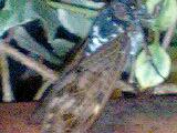 110823_1840~0001-0001.jpg